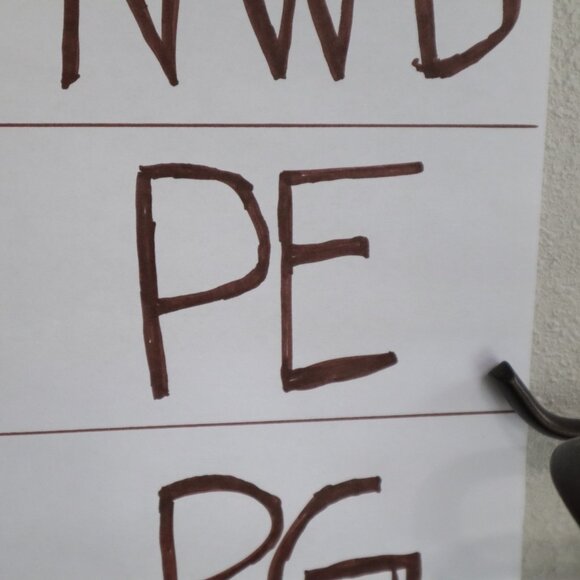 Chenault Sheer Embroidered Top Womens XL Navy Feminine Boho Grannycore Bloomcore - Picture 16 of 16